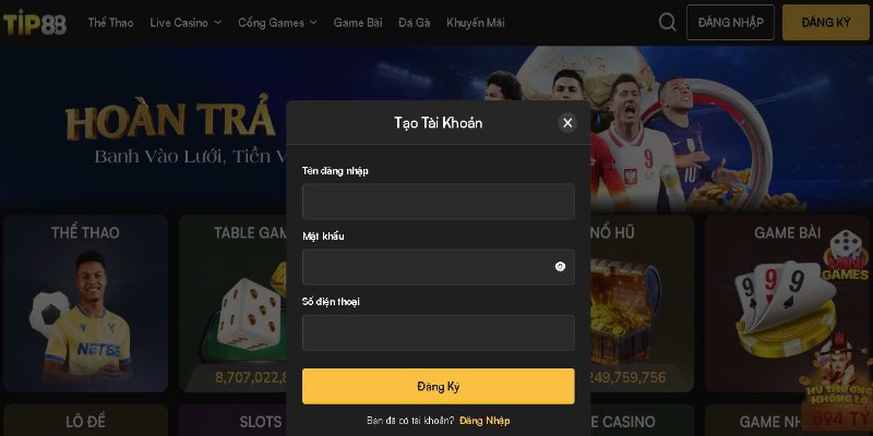 Bạn phải điền đầy đủ các thông tin đăng ký TIP88 theo đúng yêu cầu