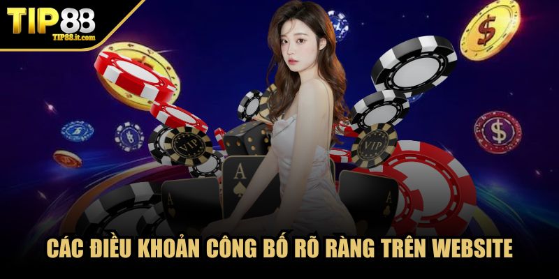 Các điều khoản công bố rõ ràng trên website